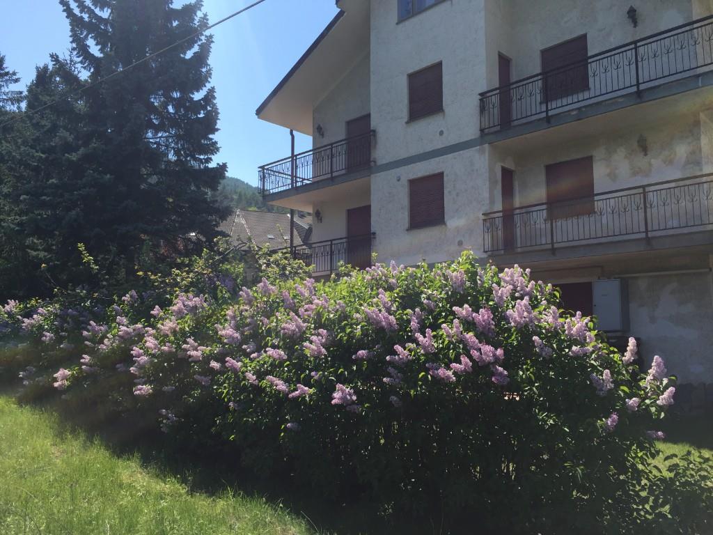 immagine annuncio 1 di 7