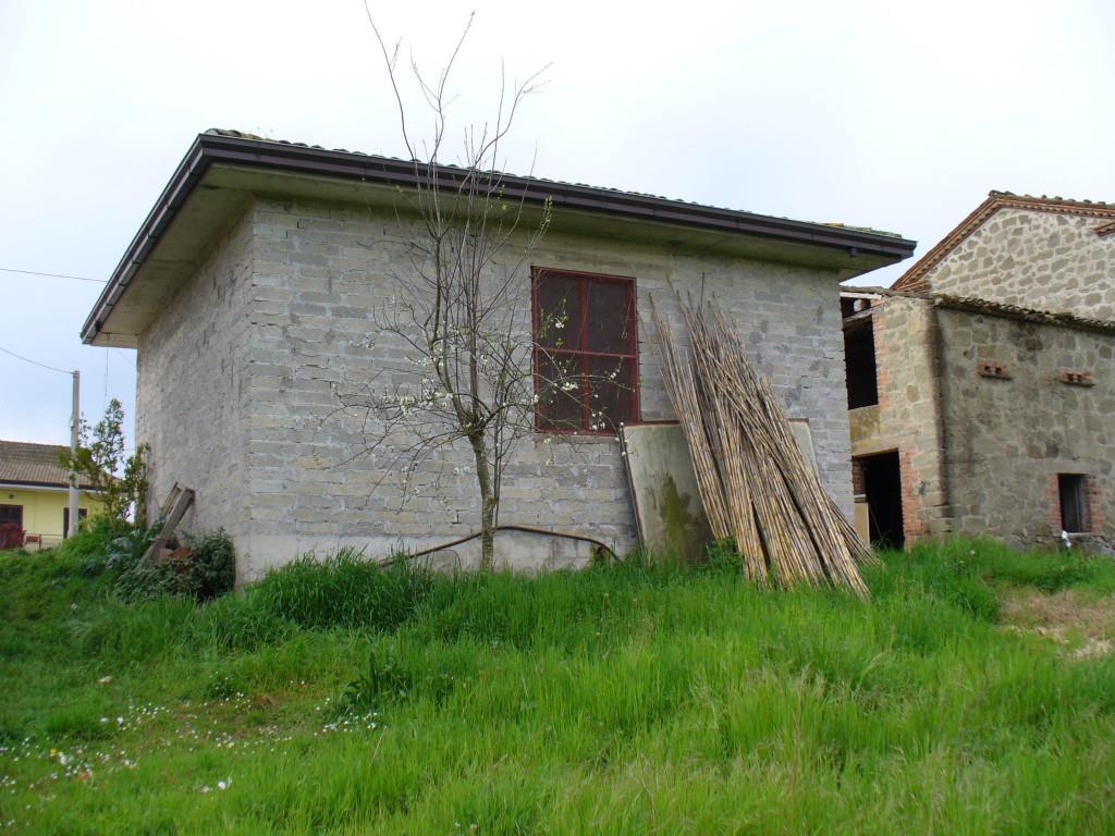 immagine annuncio 6 di 7