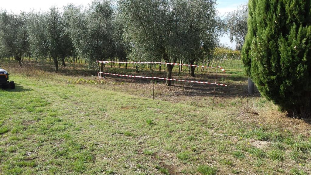 immagine annuncio 5 di 6
