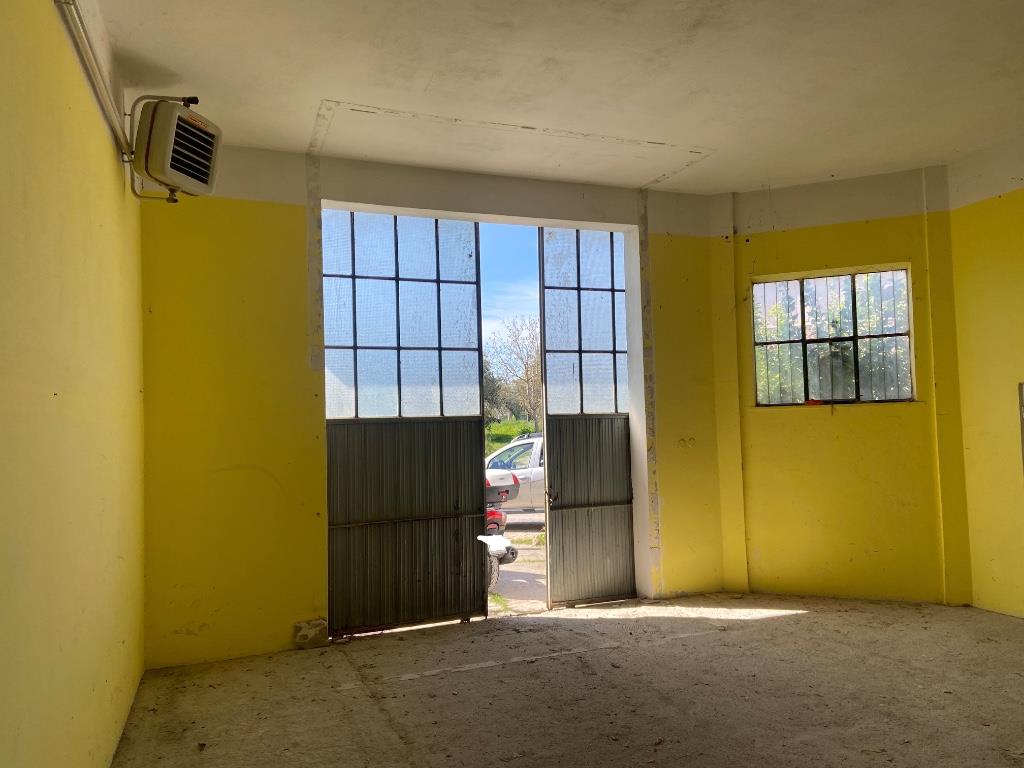 immagine annuncio 2 di 6