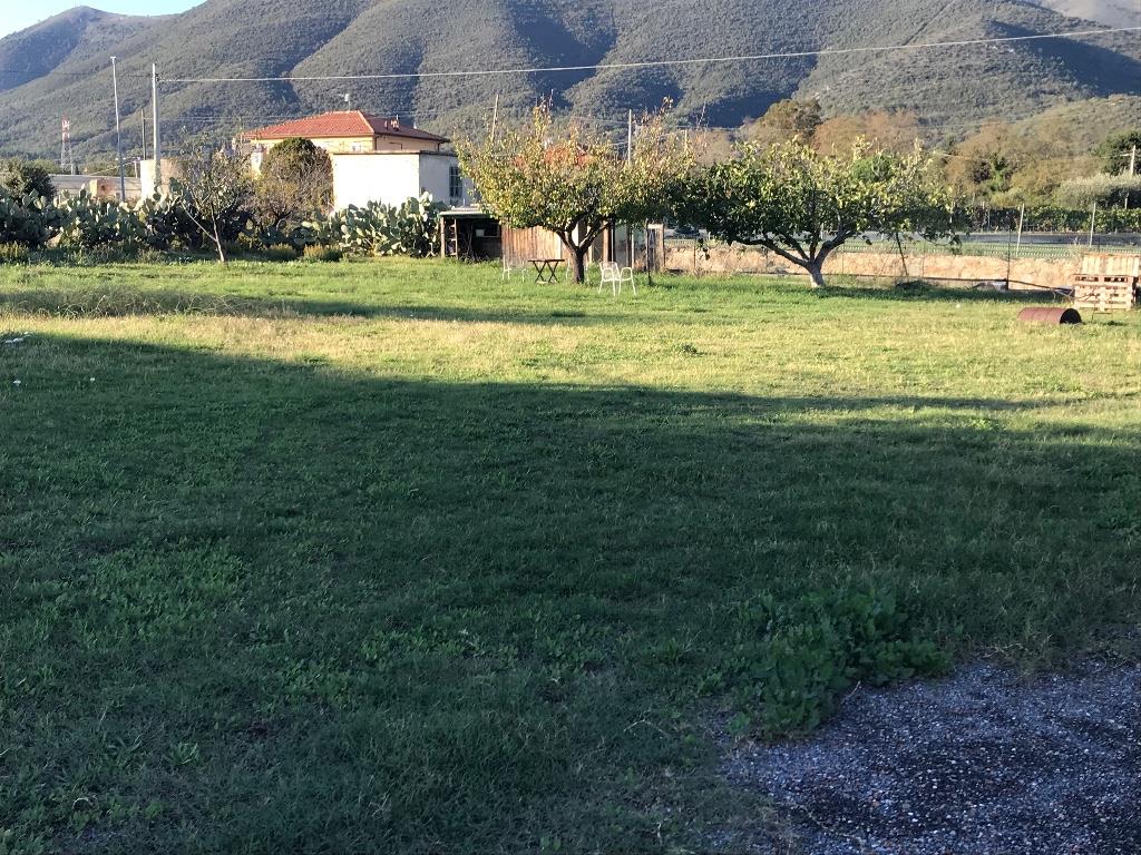 immagine annuncio 2 di 7