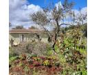 Foto - Casa indipendente in Vendita a Sassari - La Landrigga