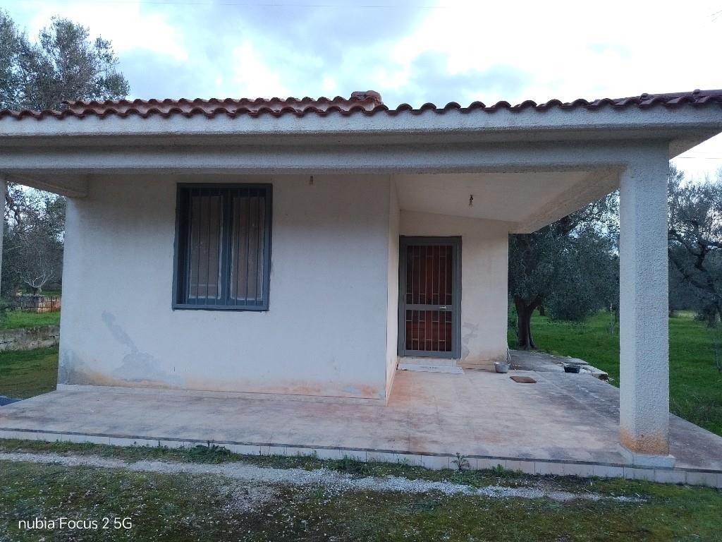 immagine annuncio 6 di 7