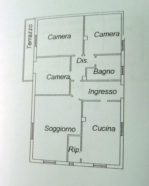 immagine annuncio 1 di 7