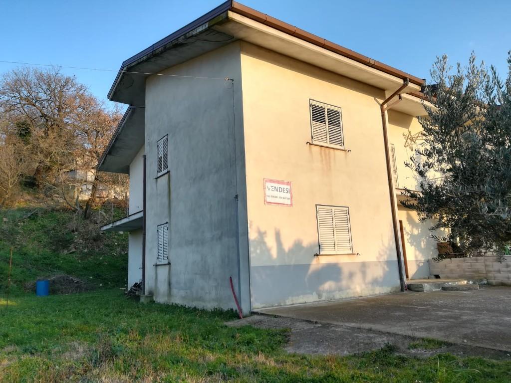 immagine annuncio 4 di 6