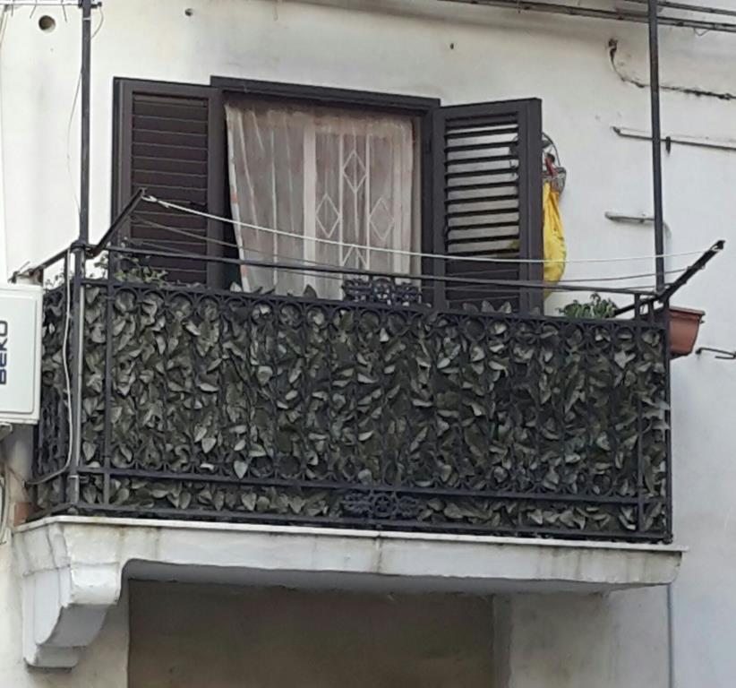 immagine annuncio 5 di 7