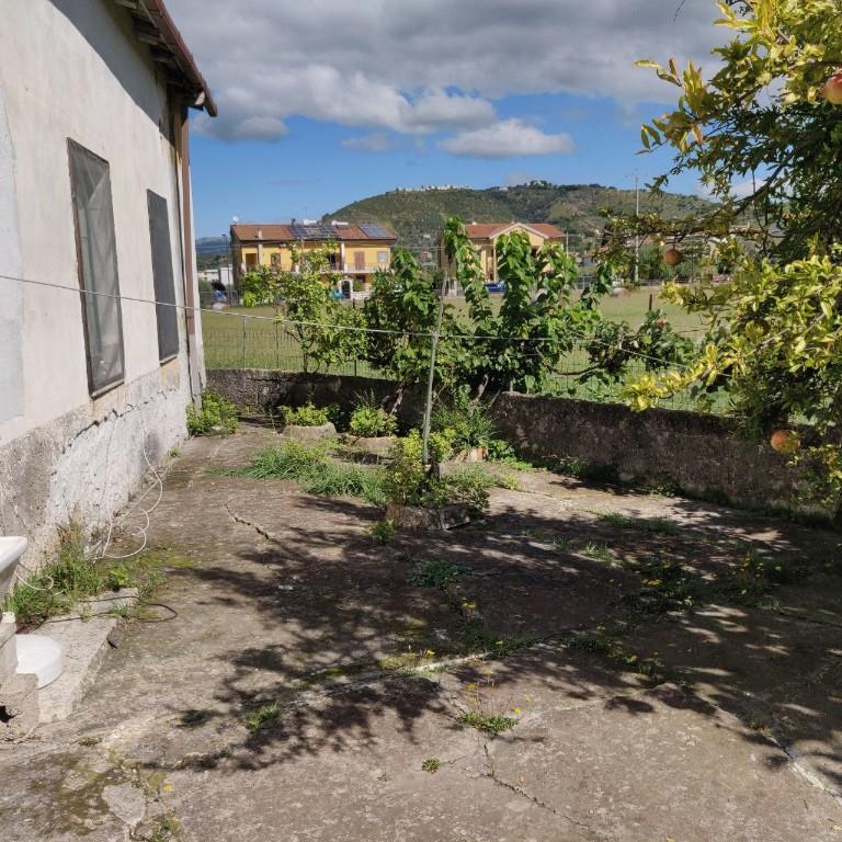 immagine annuncio 5 di 7