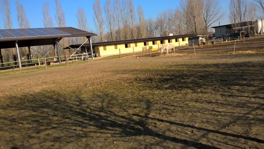 immagine annuncio 3 di 4