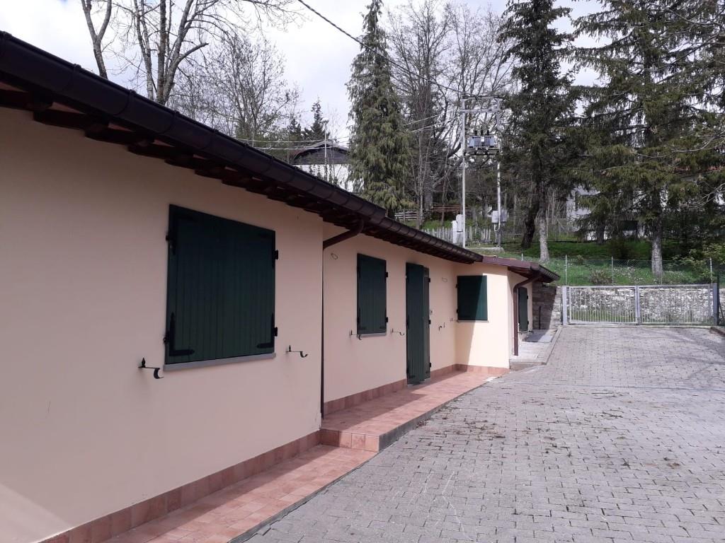 immagine annuncio 1 di 7