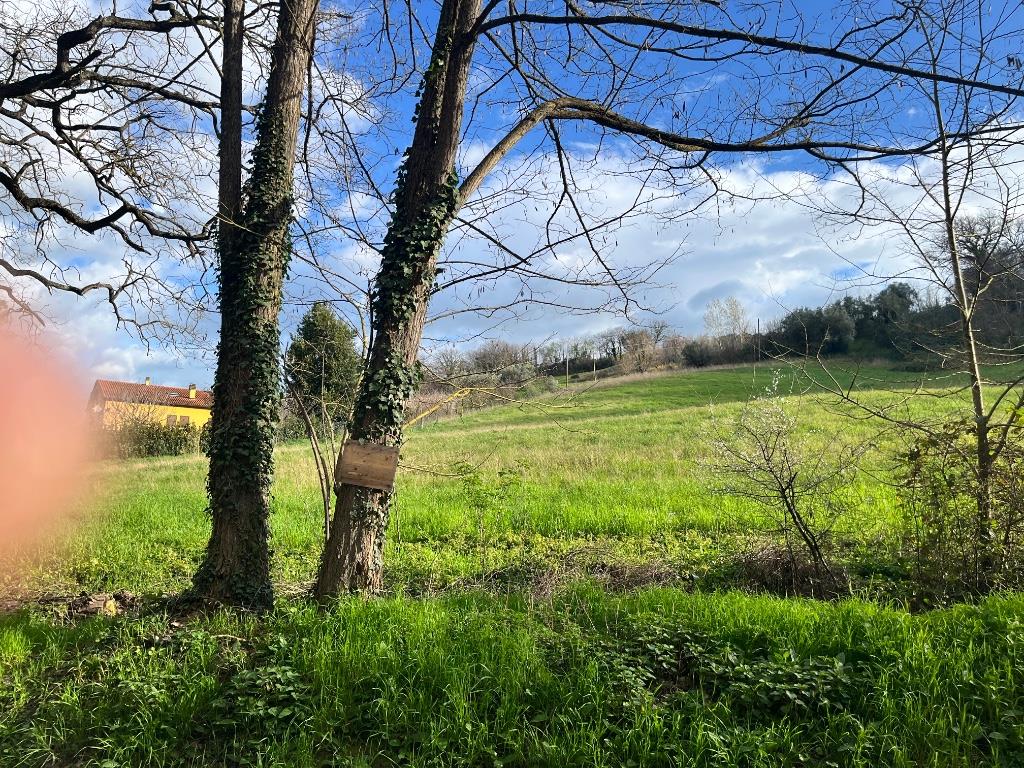 immagine annuncio 4 di 7