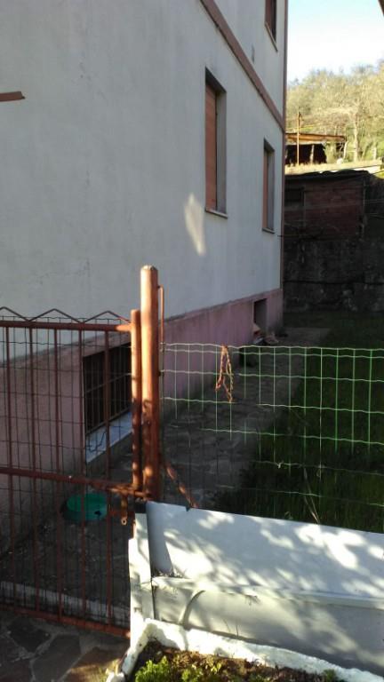 immagine annuncio 5 di 7
