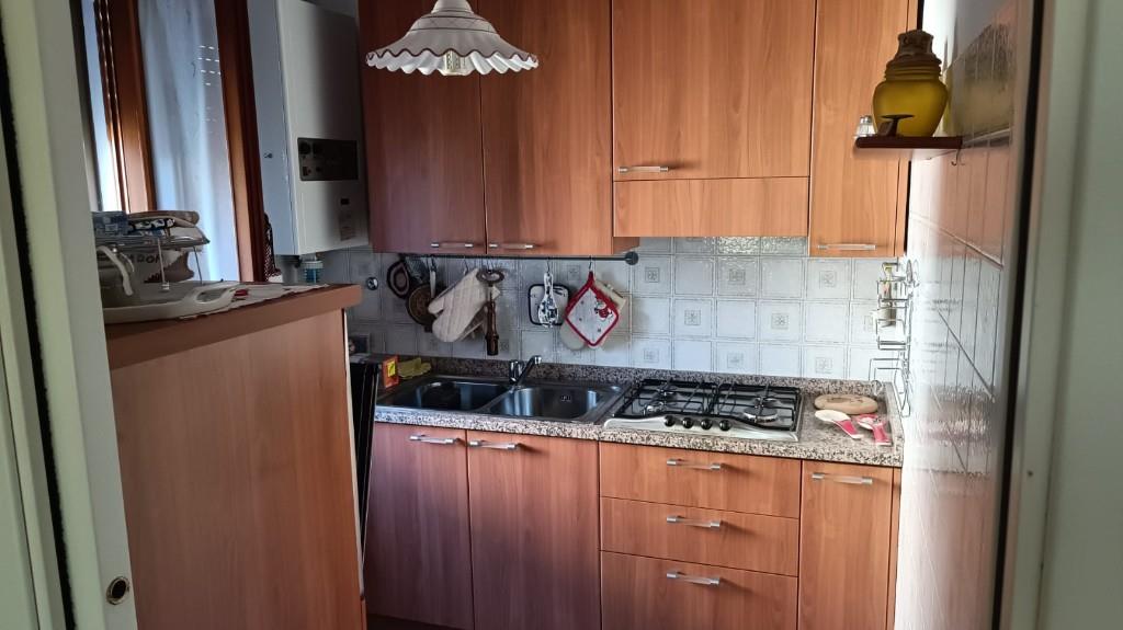 immagine annuncio 1 di 6