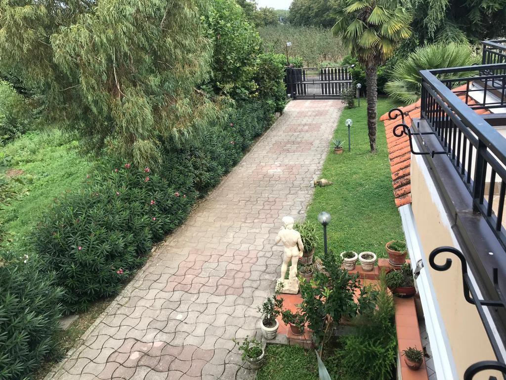 immagine annuncio 5 di 7