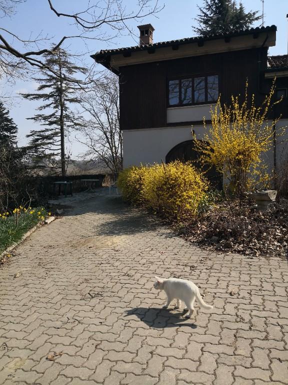 immagine annuncio 5 di 7