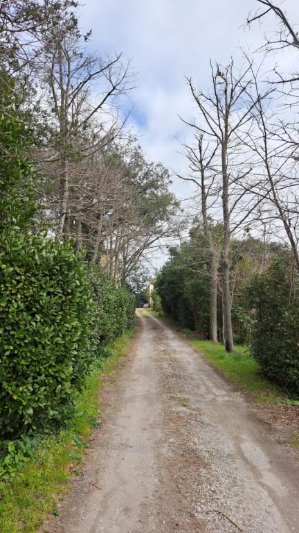 immagine annuncio 4 di 6