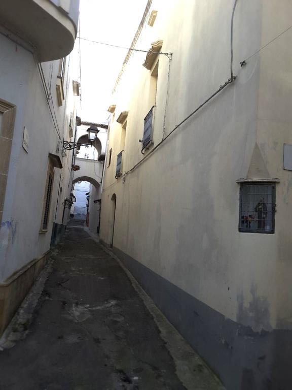 immagine annuncio 4 di 7