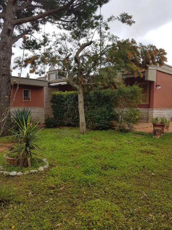 immagine annuncio 4 di 7