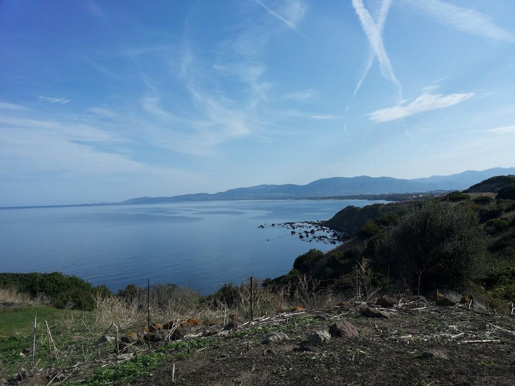 immagine annuncio 4 di 7