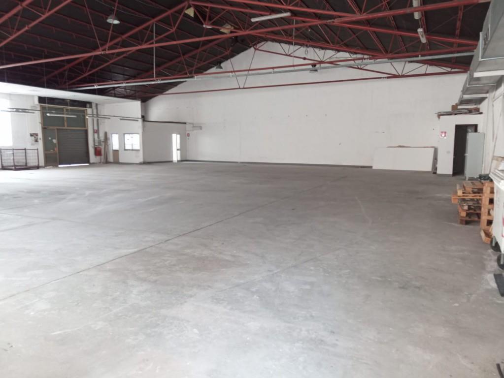 immagine annuncio 3 di 4