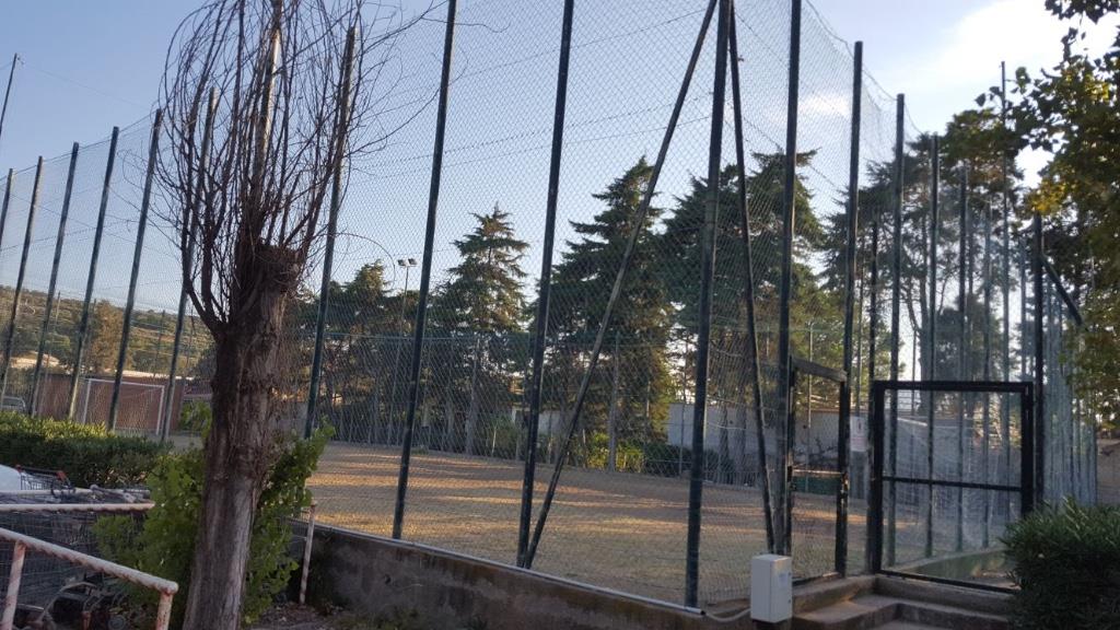 immagine annuncio 6 di 7