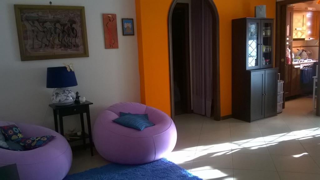 immagine annuncio 3 di 7