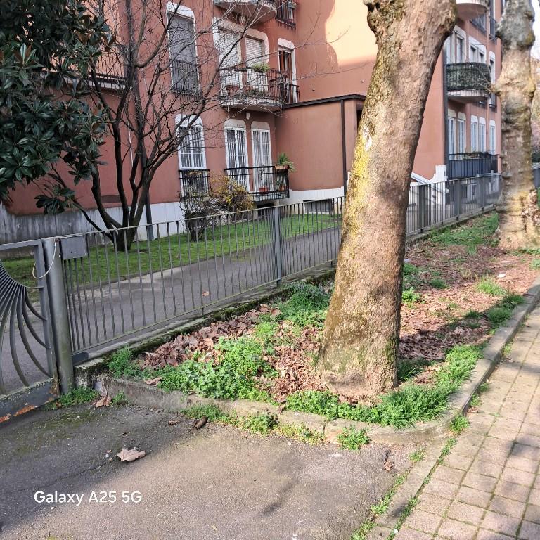 immagine annuncio 1 di 4