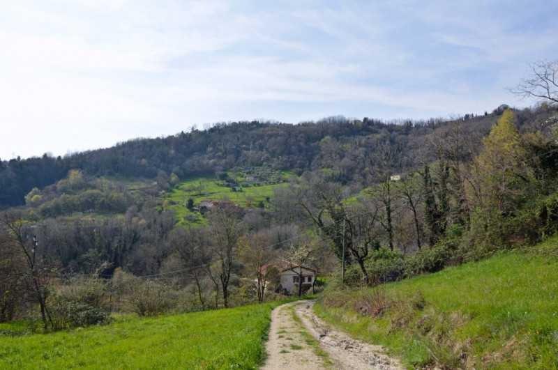 immagine annuncio 3 di 7