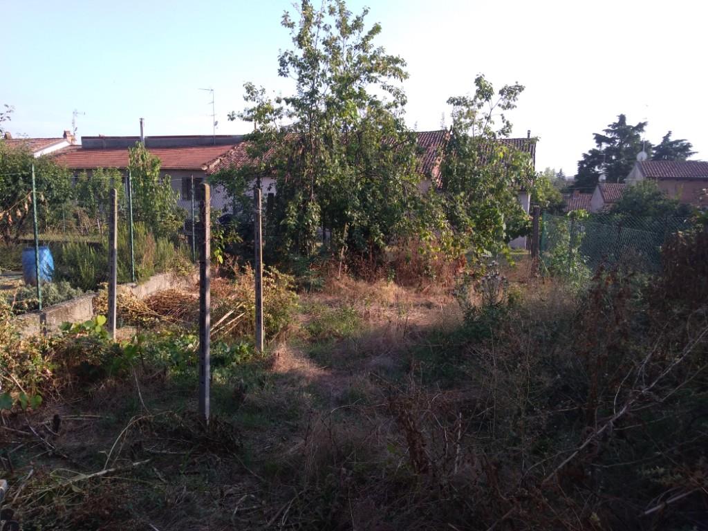 immagine annuncio 5 di 7