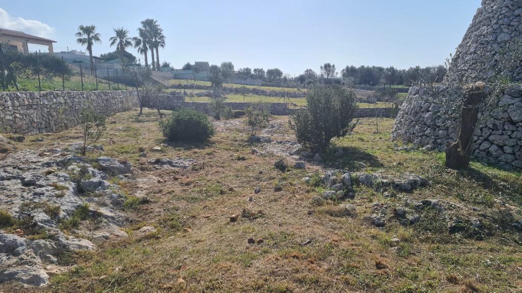 immagine annuncio 4 di 7