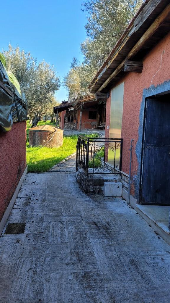 immagine annuncio 5 di 7