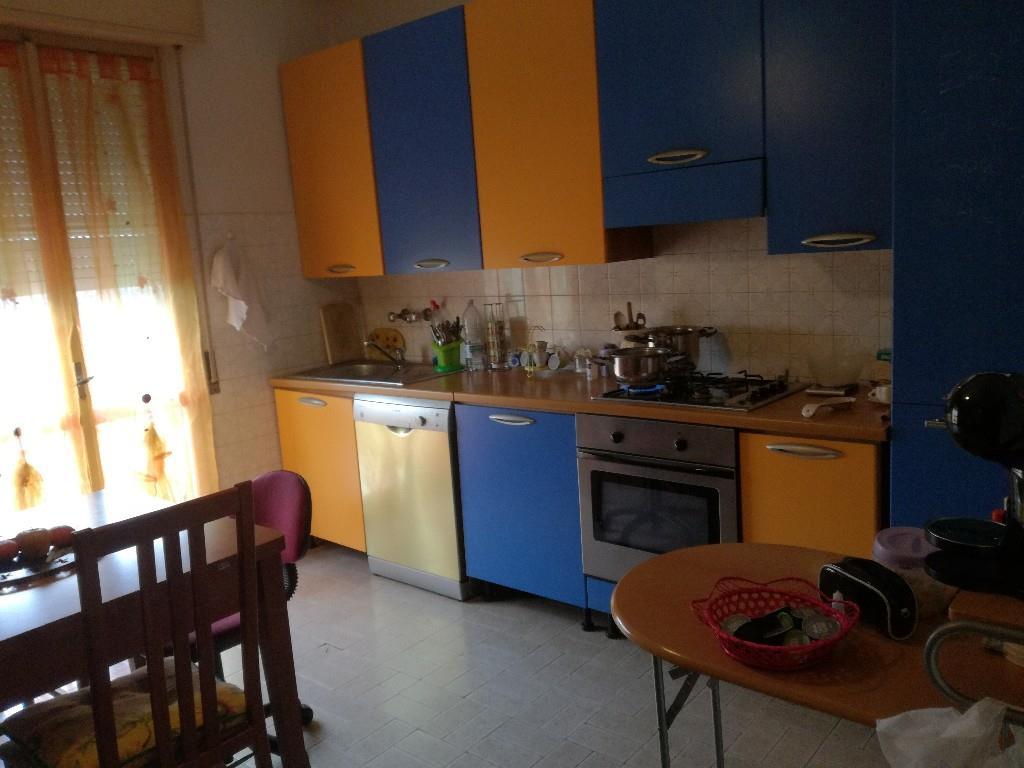 immagine annuncio 1 di 7