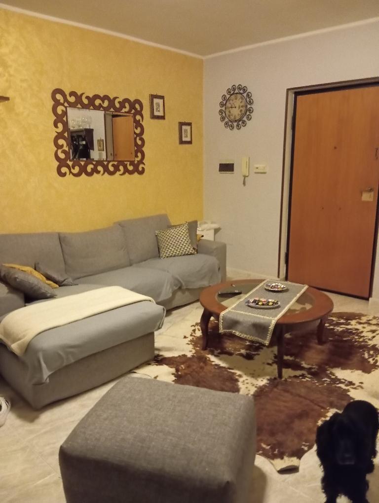 immagine annuncio 1 di 7