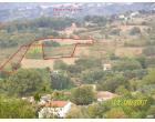 Foto - Terreno Agricolo/Coltura in Vendita a Casalvieri (Frosinone)