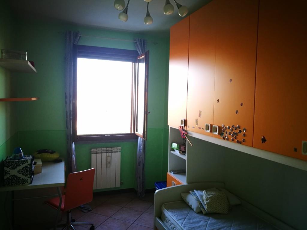 immagine annuncio 3 di 7