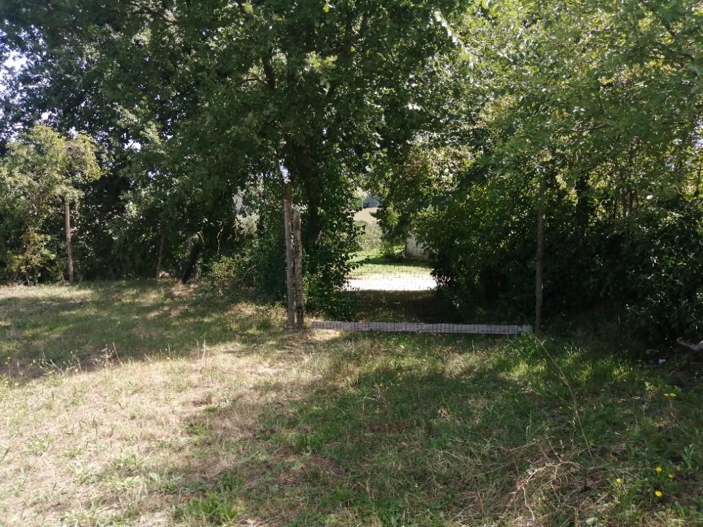 immagine annuncio 5 di 7