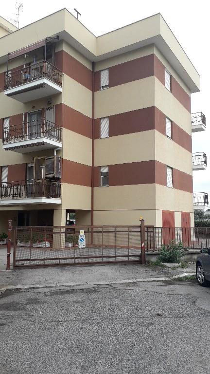 immagine annuncio 1 di 4