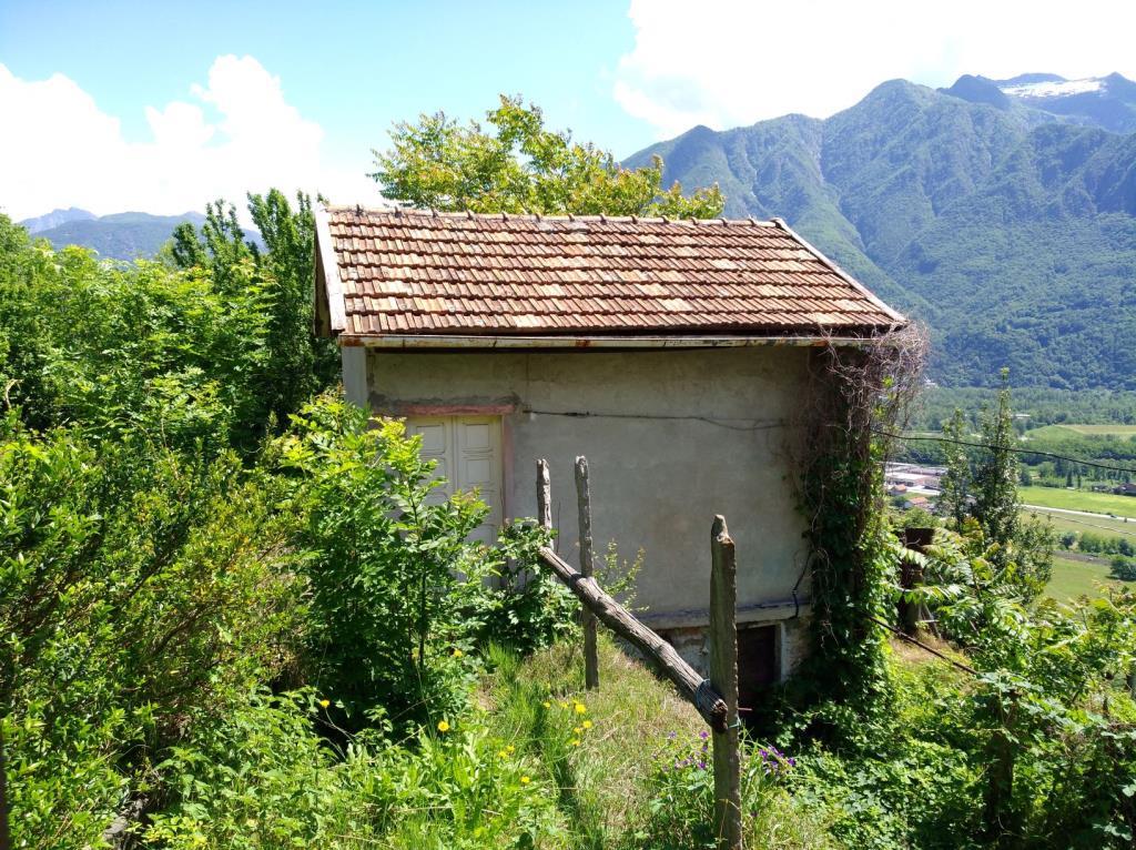 immagine annuncio 6 di 7