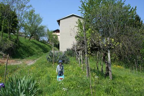 immagine annuncio 6 di 7