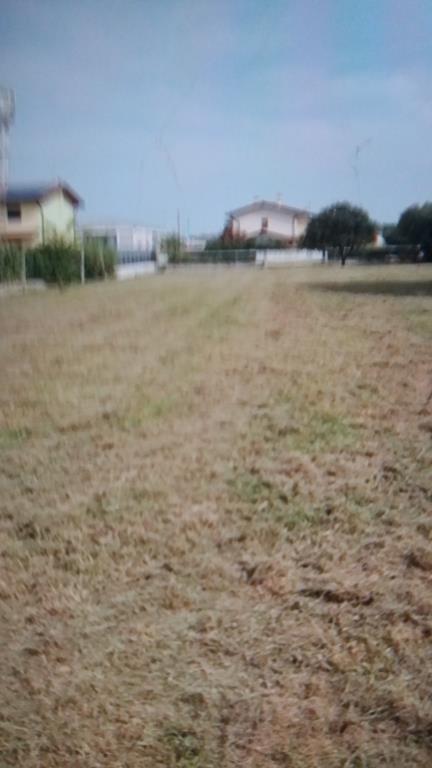 immagine annuncio 1 di 7