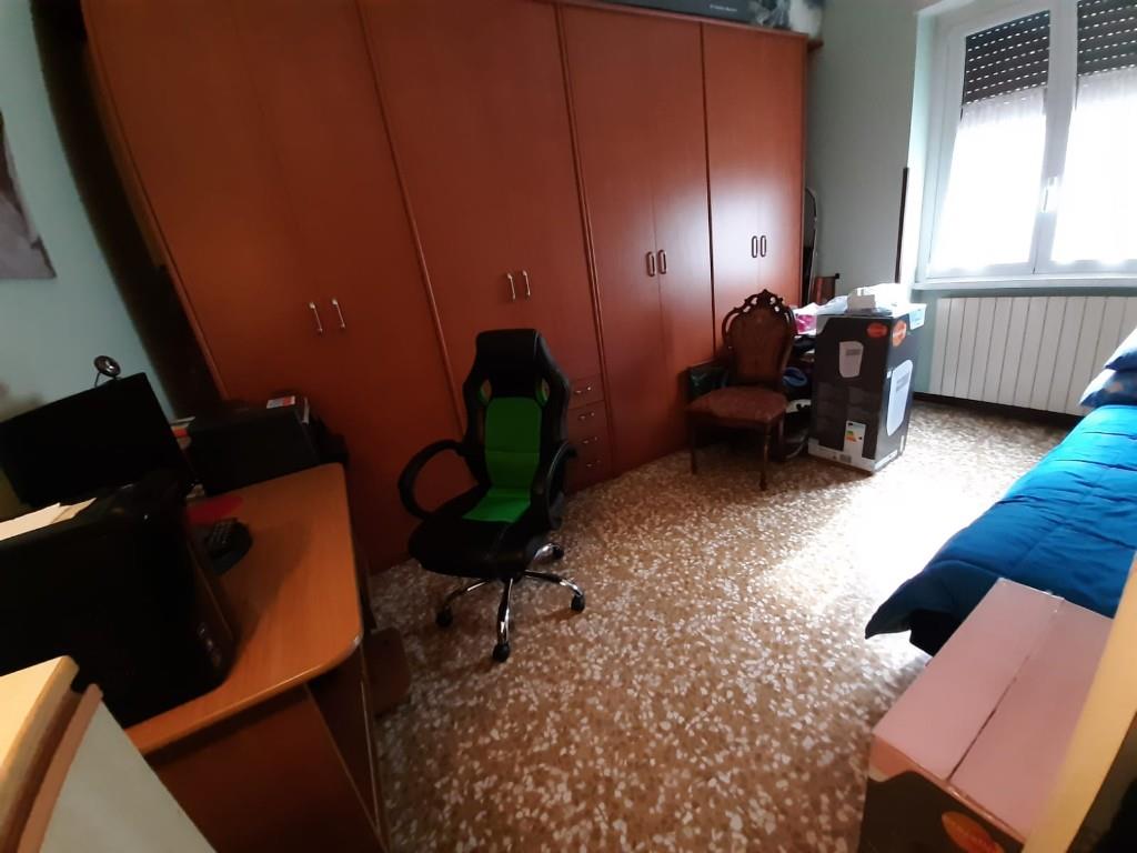 immagine annuncio 1 di 7