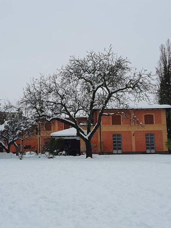 immagine annuncio 6 di 7