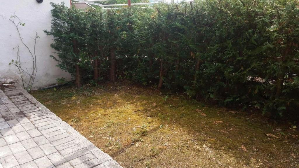 immagine annuncio 5 di 7