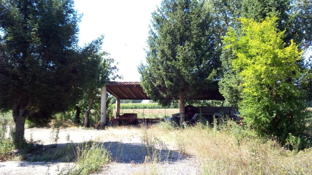 immagine annuncio 1 di 7