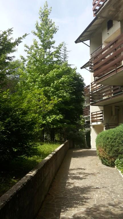 immagine annuncio 6 di 7