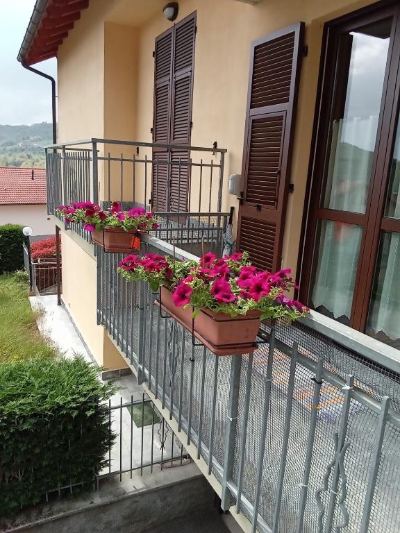 immagine annuncio 5 di 7