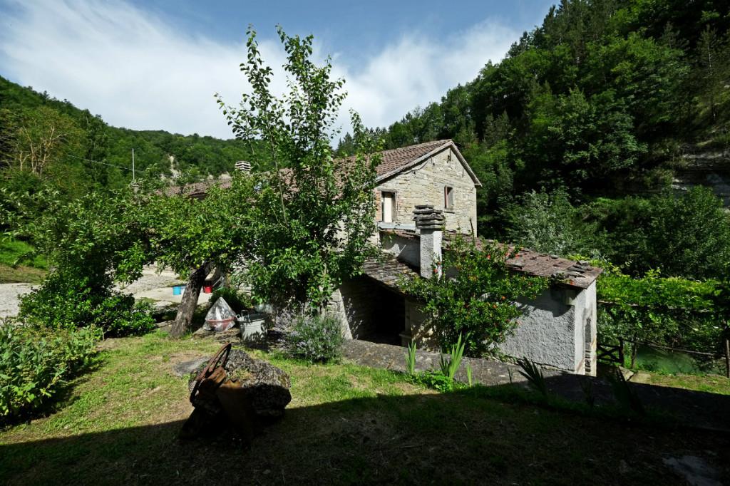 immagine annuncio 2 di 7