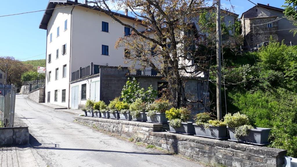 immagine annuncio 1 di 7