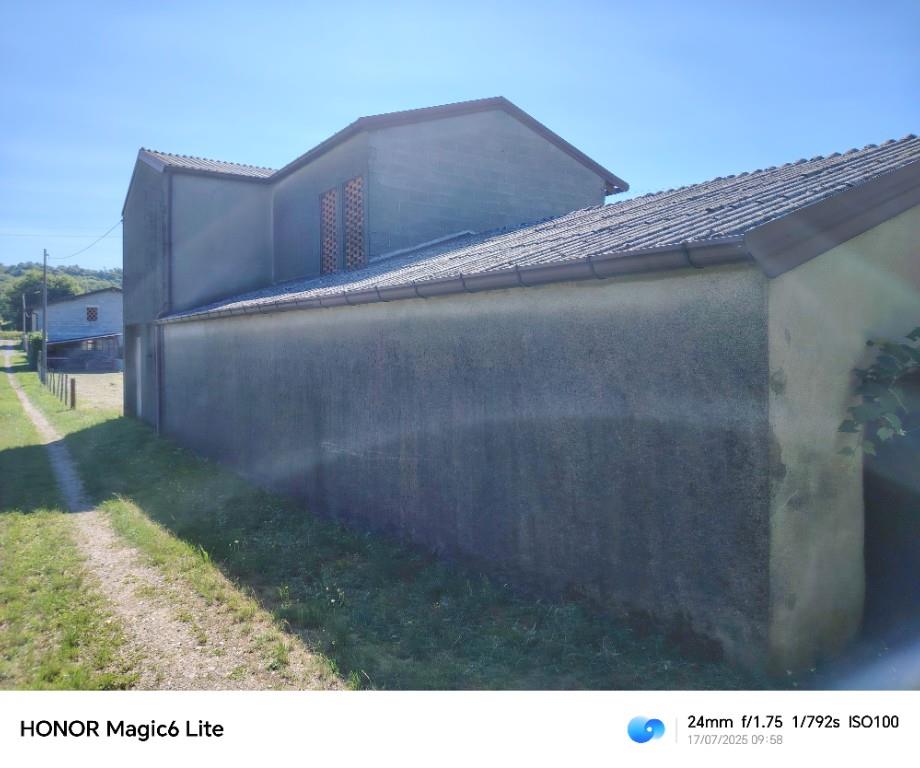 immagine annuncio 1 di 7