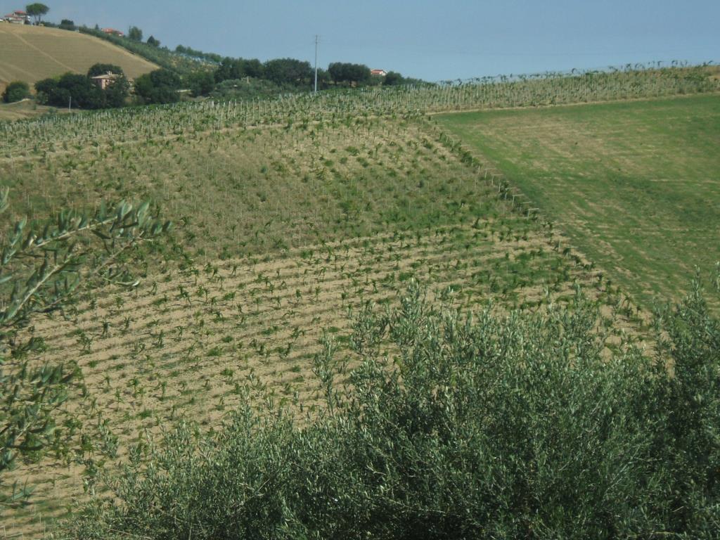 immagine annuncio 4 di 6
