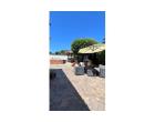 Foto - Affitto Villa Vacanze da Privato a Anzio (Roma)